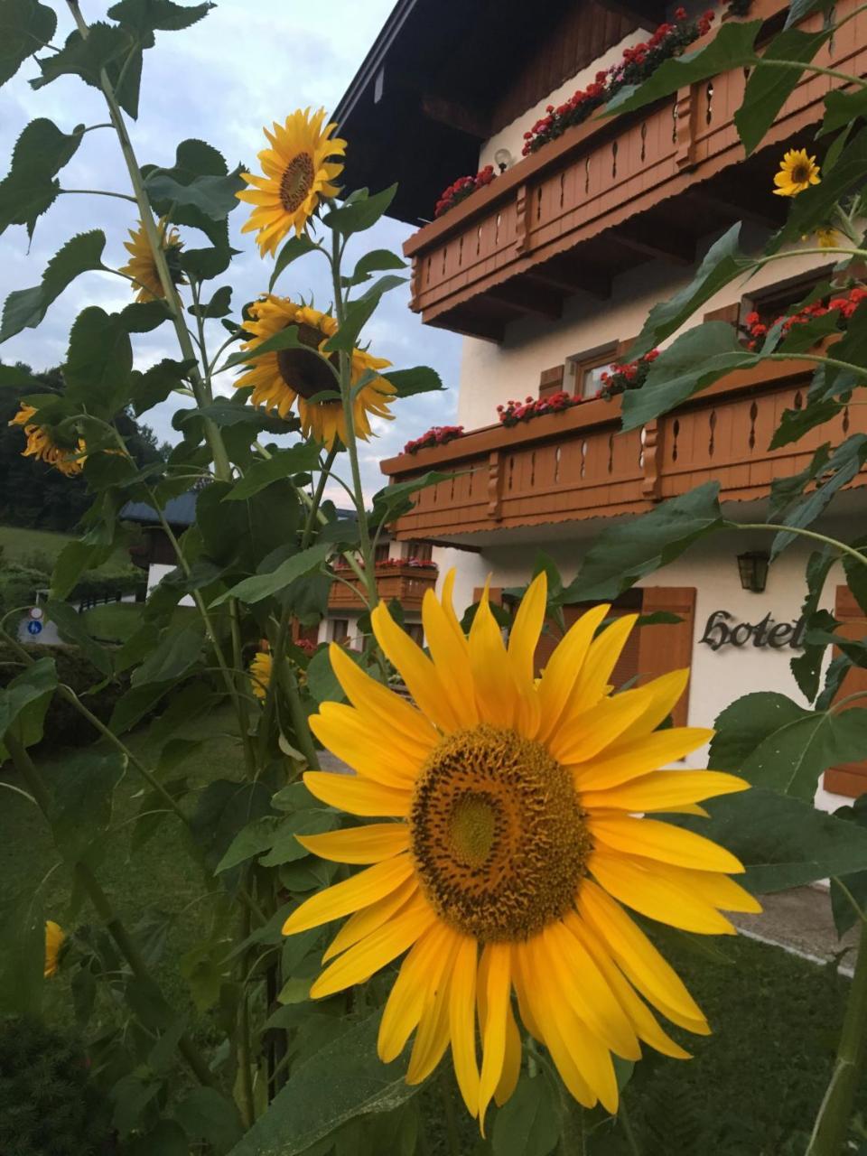 Hotel Alpenhotel Weiherbach